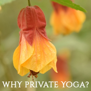 Why private yoga?
